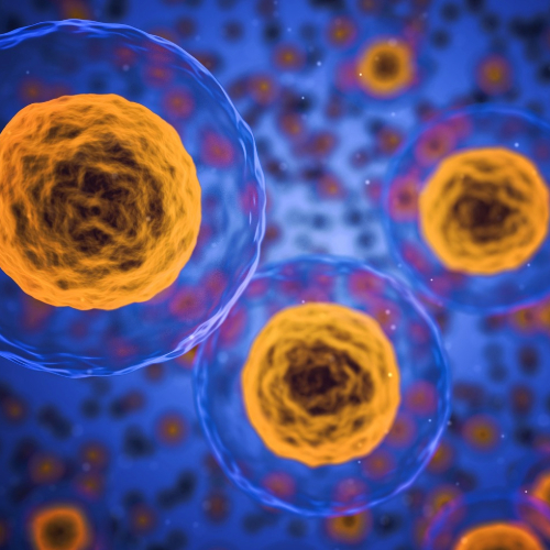 Lab research involving biomaterials and tissue engineering