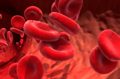 blood