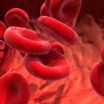 blood